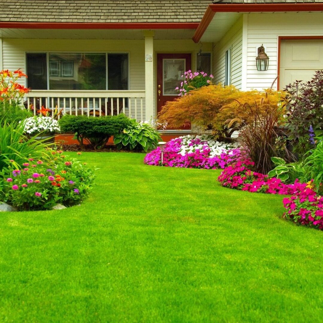 A vibrant front yard garden with lush green grass and colorful flowers.